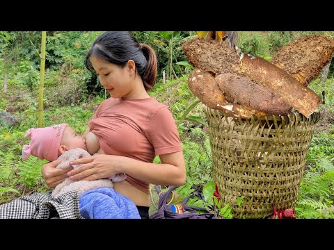 Harvesting Thorny Roots &amp; Cassava to Sell - Making Door walls for Children - Cooking