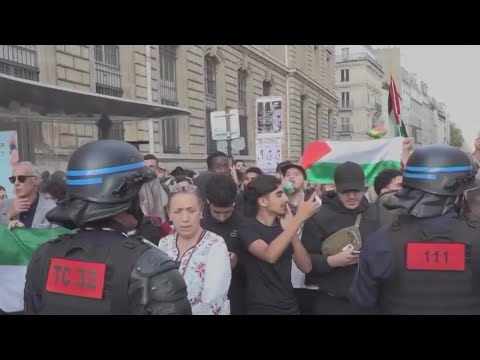 Police get involved in Palestine protests in Paris