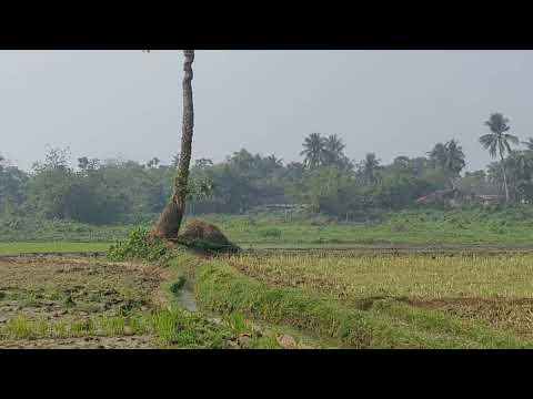 বিএসএফের গু লি তে কেন বিজিবি সদস্য  নি হ ত,  লা শ কখন ফেরত দিবে ভারত?