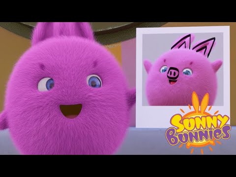 Videos For Kids | Sunny Bunnies SUNNY BUNNIES PICTURE PERFECT | Funny Videos For Kids HD