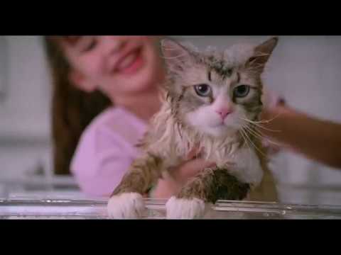 Una vita da gatto - Far&ograve; il gatto - Clip dal film | HD