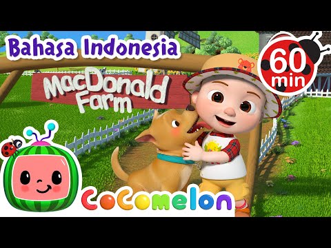 Bingo di Peternakan🐕 | CoComelon Bahasa Indonesia - Lagu Anak Anak | Nursery Rhymes