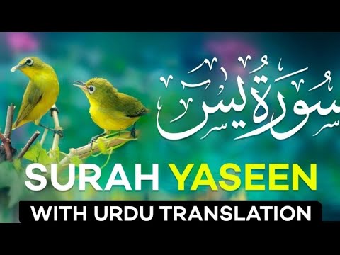 Surah Yasin (Yaseen) By sheikh abdur-Rehman As-Sudais |Full With Arabic Text (HD)سوره یٰسین