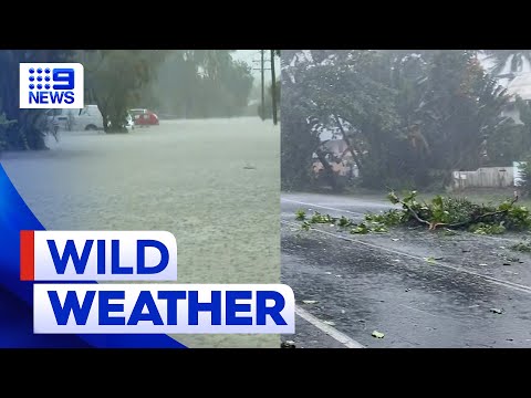 More wild weather forecast for northern Queensland | 9 News Australia