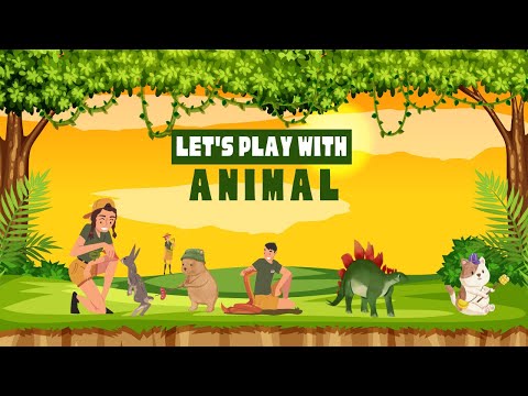 animal kingdom | kingdom of animals | classification and differences