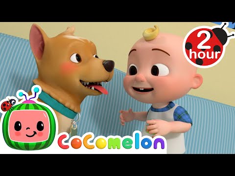 Where is Bingo Hiding!?? | Animals for Kids | Animal Cartoons | Funny Cartoons | Learn about Animal