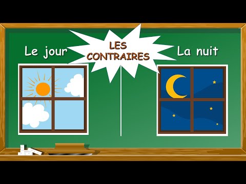 Les contraires | Apprendre 40 mots &amp; leurs contraires en fran&ccedil;ais | Antonymes | FLE | Opposites (FR)