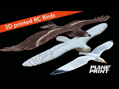 Planeprint BIRDS