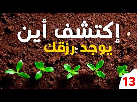 أحمد الشقيري أسرار الرزق كلام في قمه الروعه