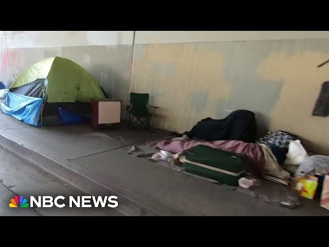 Homelessness in U.S. reaches a record high, federal report finds