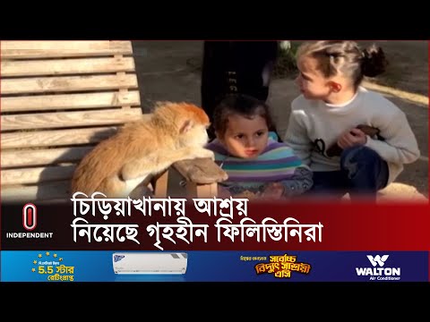 চিড়িয়াখানায় দেখা দিয়েছে তীব্র খাদ্য সংকট | Gaza Situation | Independent TV