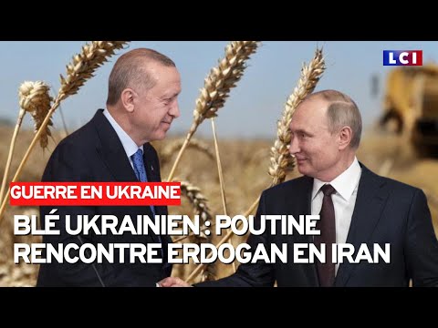 Guerre du bl&eacute; : Poutine rencontre Erdogan en Iran