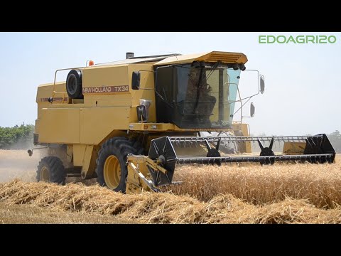 New Holland TX 34 + New Holland T7040 || Trebbiatura Frumento || By Edoagri20