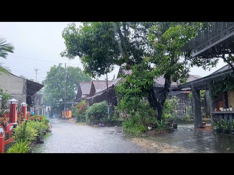 Heavy rainfall in my Village in Indonesia||very strong and weth||indoculture