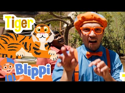 Blippi&rsquo;s Zoo Expedition: A Day of Fun with Animals! | BLIPPI | Kids TV Shows | Cartoons For Kids