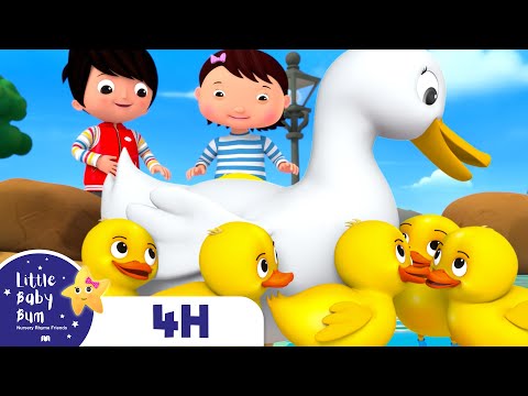 Five Little Ducks and Duckies | FOUR HOURS of Little Baby Bum Nursery Rhymes and Songs