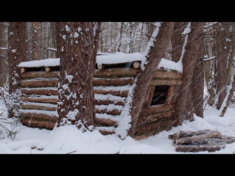 Building a Warm Winter Shelter for Survival in the Wild Woods. Winter Bushcraft. ASMR