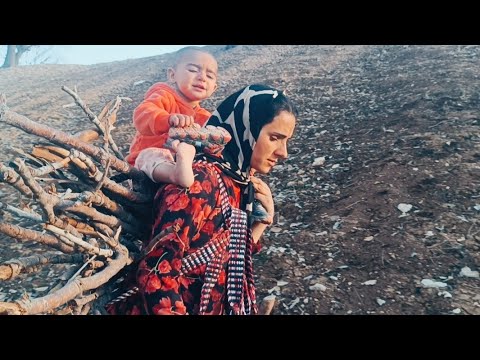 Nomadic mother and daughter travel to the heart of the mountains to collect firewood