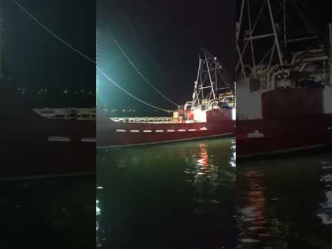 calming fishing boat returning to Port.