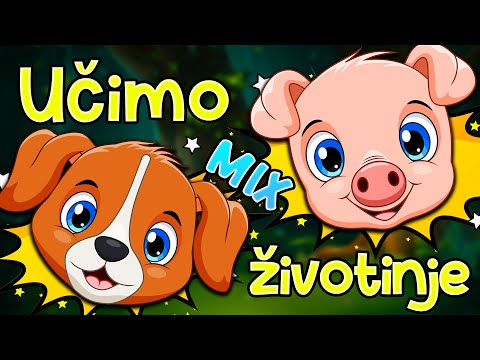 Učimo životinje MIX 💛 PESMICE ZA DECU ❤️️ Kako kažu životinje 💚 MIX pesmica za decu 2023 💜