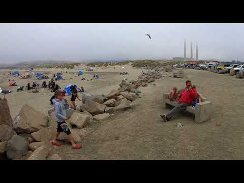 Morro Rock Squirrels Time-lapse - May 28, 2022