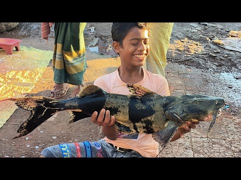 AmazingFishing&amp;nbsp;Cut | Big Baghair Fish Cutting In Fish Market | Devil Catfish Cutting IN BANGLADESH