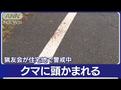 80代男性クマに襲われけが　頭かまれ出血　過去最多の70人被害　秋田(2023年11月22日)