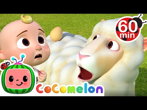 Sing Humpty Dumpty  | Animals for Kids | Animal Cartoons | Funny Cartoons | Learn about Animals