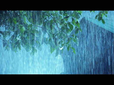 ⚡ Intense Thunderstorm Rain at Night | Heavy Rain &amp; Very Strong Thunder Sounds | Night Rain Ambience