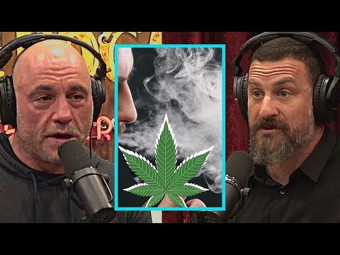 Joe Rogan and Neuroscientist Dr Huberman blow your mind about Weed and How it affects Brain and Body