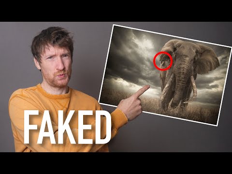 Photographers Who Got Caught Cheating