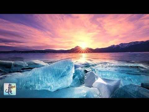 3 Hours of Amazing Nature Scenery &amp; Relaxing Music for Stress Relief. (Winter Edition)