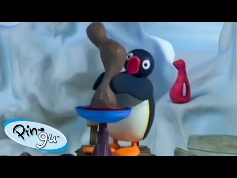 Pingu Tries New Things 🐧 | Pingu - Official Channel | Cartoons For Kids