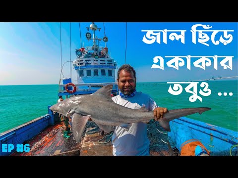 পানির নিচে জাল ছিঁড়ে একাকার | সুন্দরবনের সাগরের গল্প | epi 6 । 4k