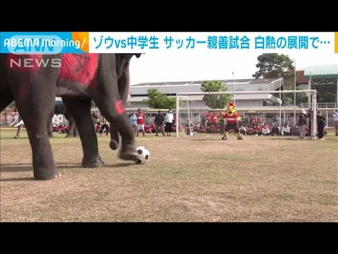 タイではゾウもサッカー！中学生チームとの試合はPK戦に(2022年12月13日)