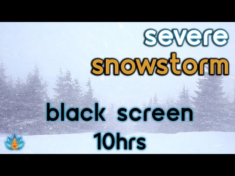 [Black Screen] Severe Snowstorm: Blizzard Sounds: Snow Storm Sounds and Howling Wind  | 10Hrs