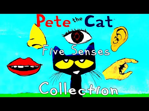 Pete The Cat Five Senses Collection | Learn Senses with MyEzyPzy | Read Aloud English Stories...!!