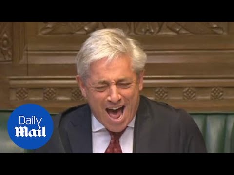 Anna Soubry is mistakenly called by Speaker John Bercow in parliament - Daily Mail