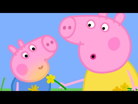 Daisy Chains With Cousin Chloe 🌼 | Peppa Pig Official Full Episodes