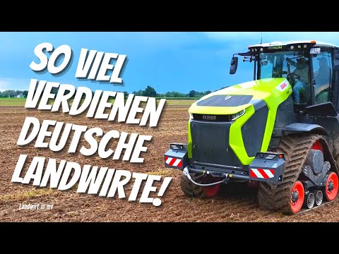 This is how much German farmers earn! These are the numbers from the last few years