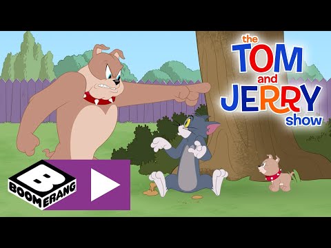 The Tom and Jerry Show | Disappearing Tom | Boomerang UK