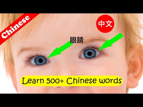 Learn Chinese for kids  [ Day 1.1 ]  Body | Animals | Baby | Food | Stationery | Flashcard Program