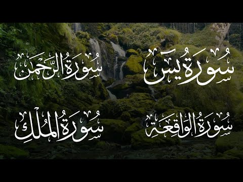 من أجمل تلاوات منصور السالمي ، سورة يس، الرحمن ، الواقعة ، الملك