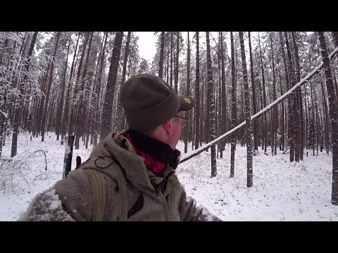 УЖАС, ПОШЁЛ НА ПРЯМИК И ПОТЕРЯЛСЯ В ЛЕСУ! ДОБЫВАЮ РЯБЧИКОВ ИЗ МЕЛКАШКИ, ТОЧНЫЕ ВЫСТРЕЛЫ.