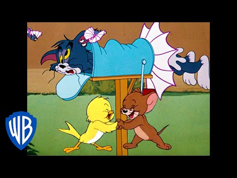 Tom &amp; Jerry in italiano | U-u-u-uccellino! | WB Kids