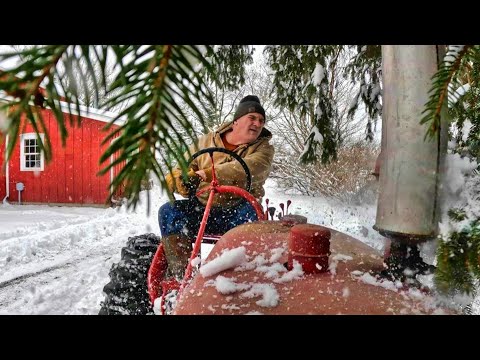 A Snowstorm on the Farm