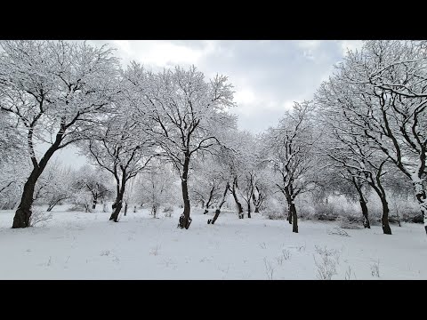 Enes Okumuş- Zaruriyet