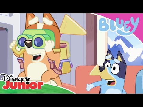 💙 Time to climb the mountain | Bluey | Disney Junior Africa