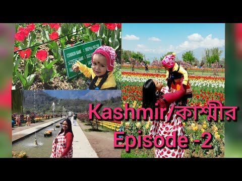 13N 14D kashmir tour from kolkata//১৪দিন ১৩ রাত্রি সম্পূর্ণ কাশ্মীর ভ্রমন কলকাতা থেকে// Ep -2