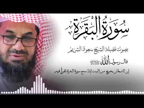 سورة البقرة كاملة بجودة عالية بصوت الشيخ أ.د. 